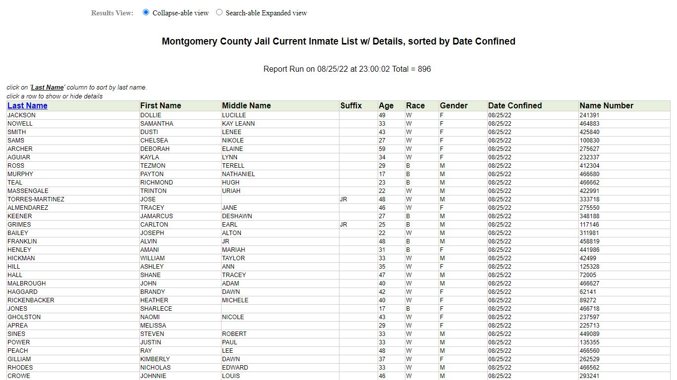 Jail Roster - Montgomery County, Texas